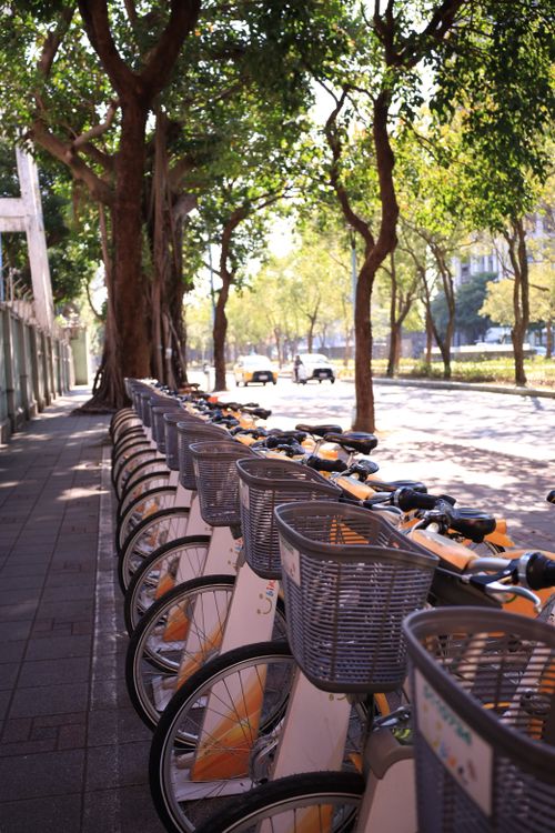Free Row of rental bikes under trees on a vibrant urban street. Stock Photo
