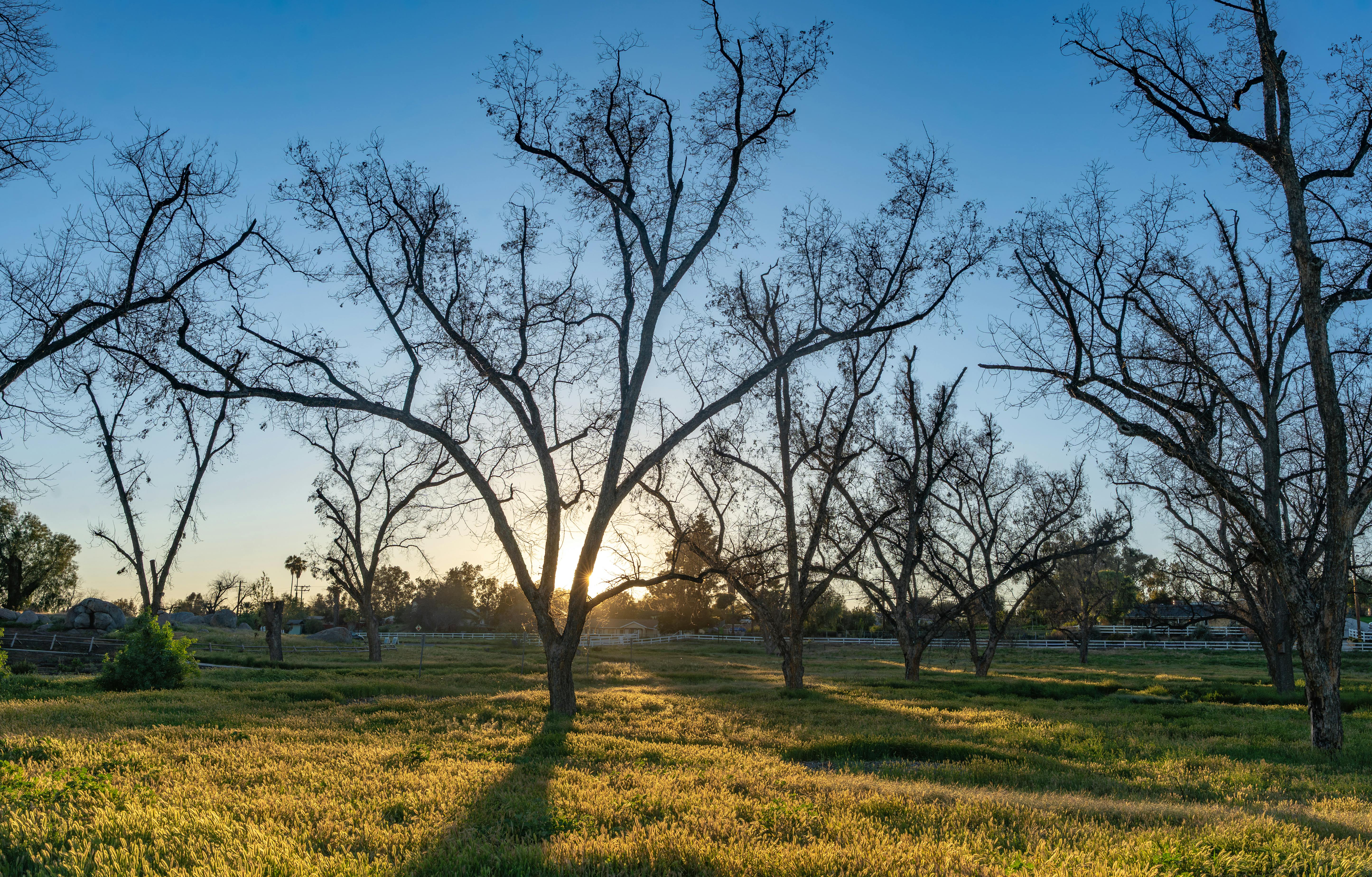 Moorpark: The Small Town Feel LA Families Are Falling in Love With
