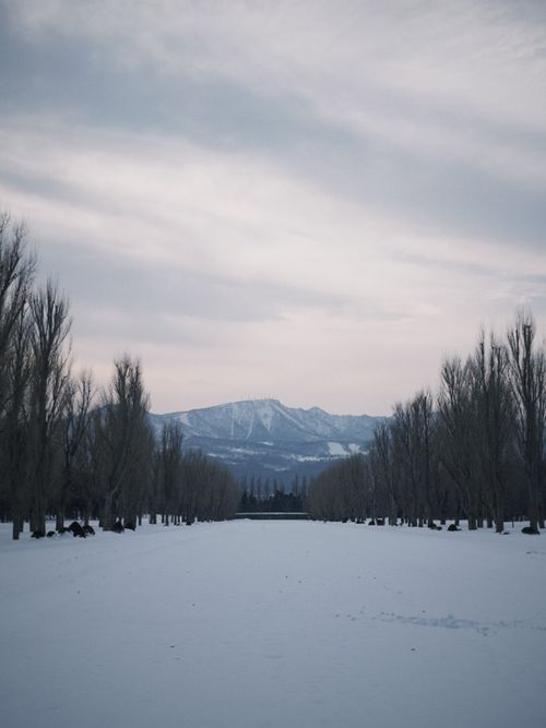 Free Peaceful winter scene with snow-covered path and distant mountains in Sapporo, Hokkaido. Stock Photo