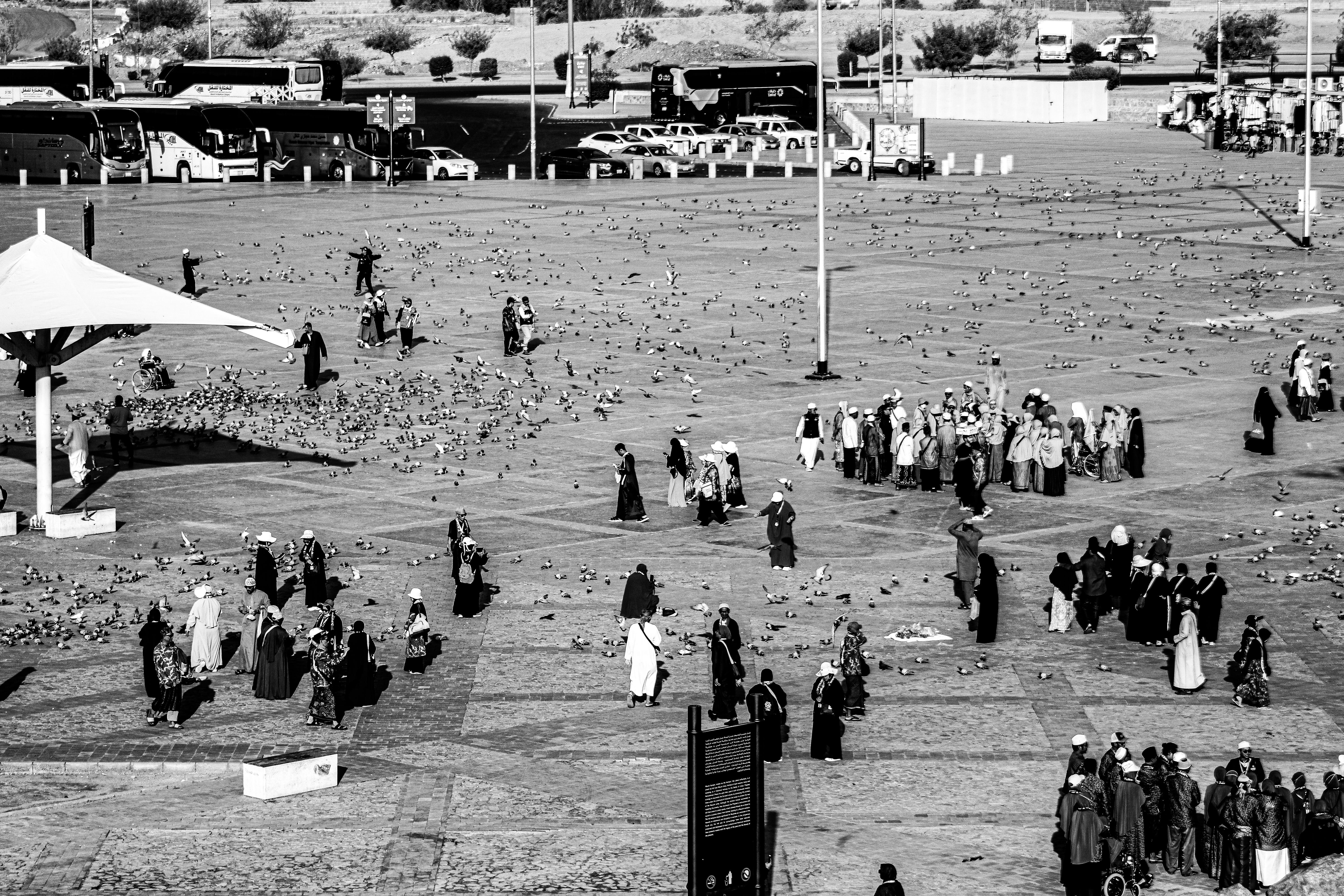 Monochrome crowd gathering in large plaza · Free Stock Photo