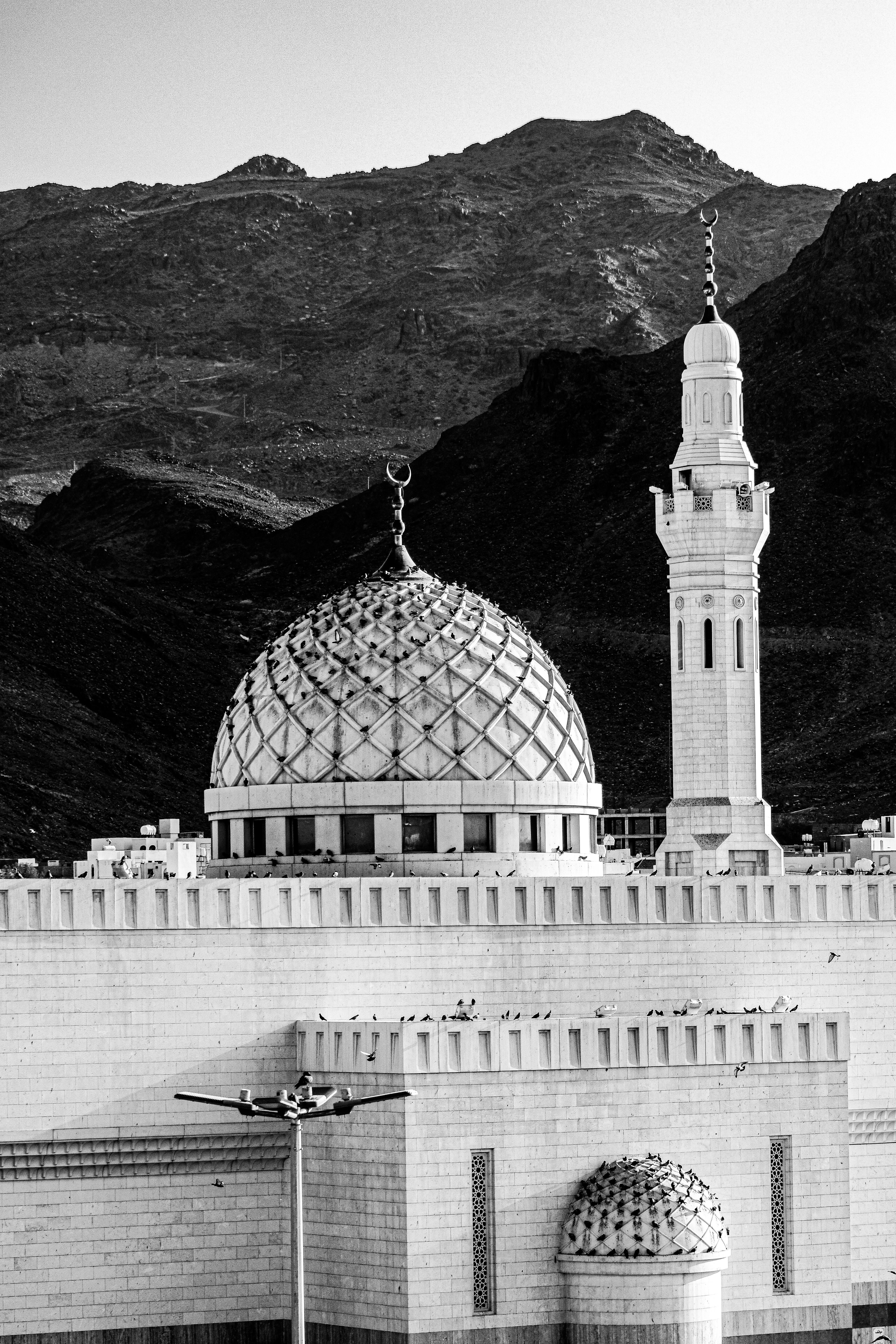 Elegant Mosque Domes with Mountain Background · Free Stock Photo
