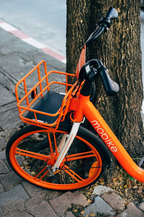 Orange Bicycle with Metal Basket Leaning on a Tree Trunk