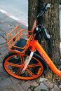 Orange and Black Bicycle Leaning on Brown Tree Trunk