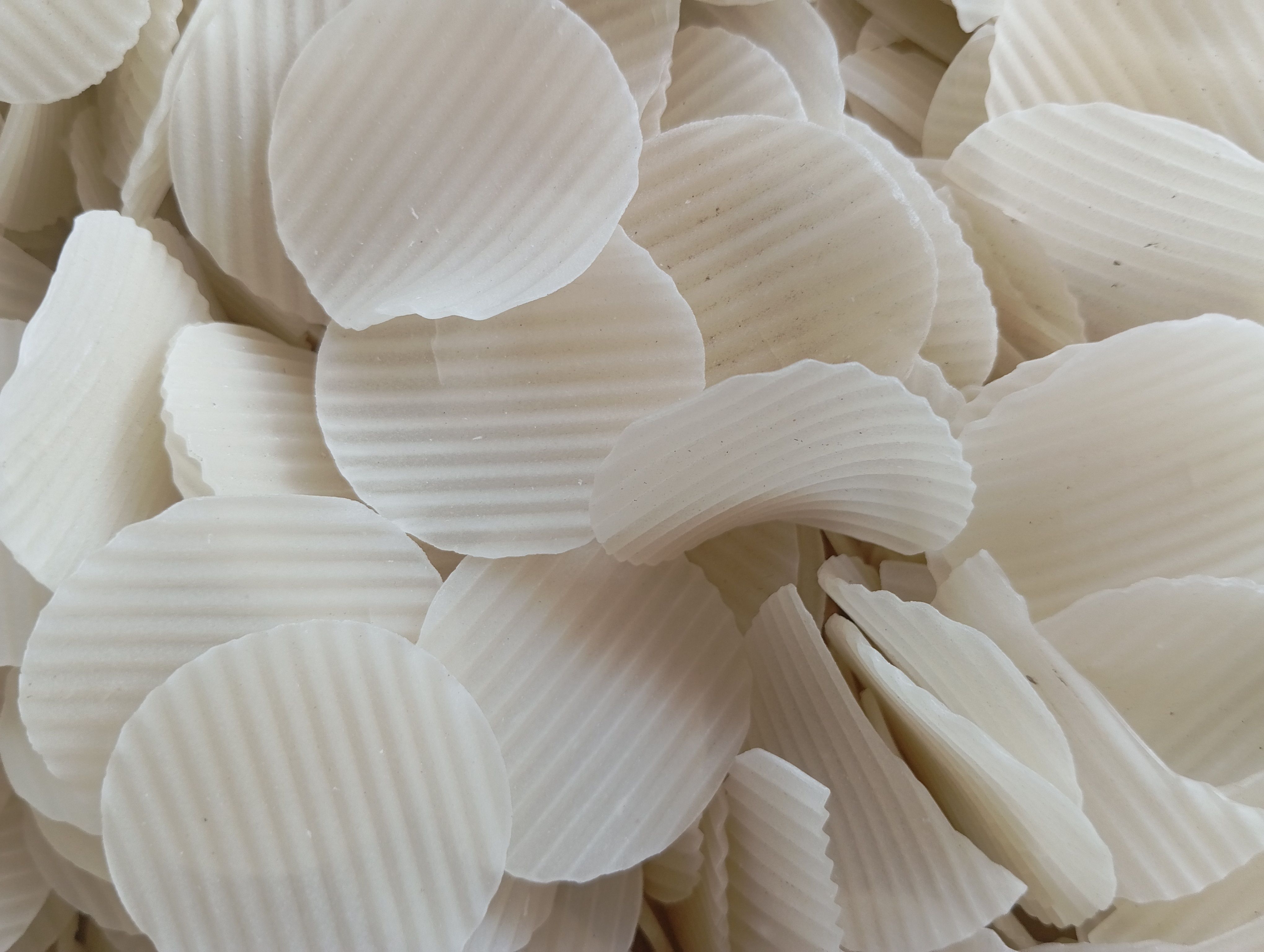 Crispy Chickpea Flour Wafers with Sea Salt