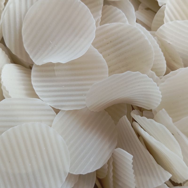 Crispy Chickpea Flour Wafers with Sea Salt