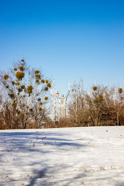 Snowy Landscape with Bare Trees and Statue · Free Stock Photo