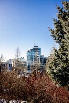 Modern cityscape with high-rise buildings and surrounding trees under a clear blue sky.