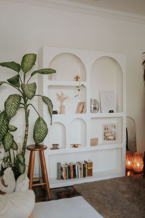 Free A modern cozy living room features a stylish bookshelf, plants, and warm lighting. Stock Photo