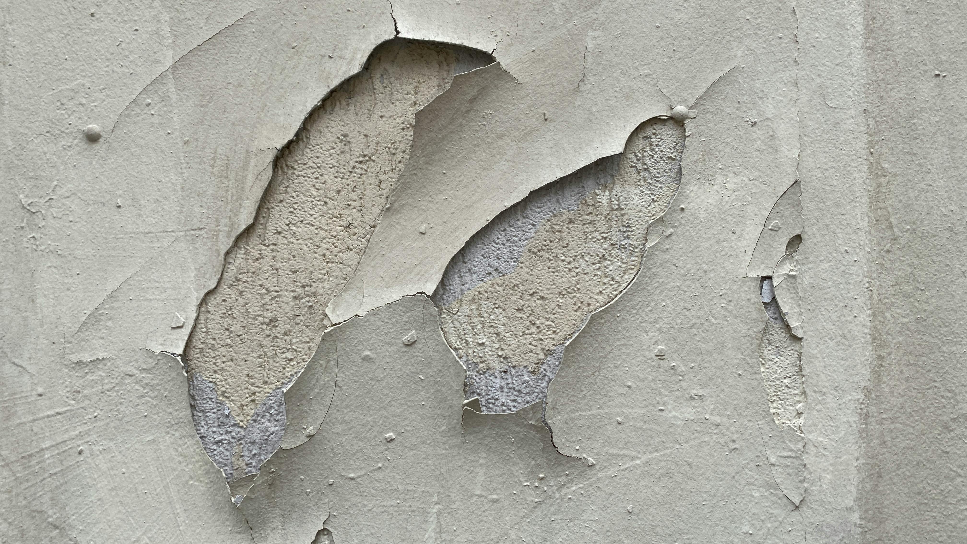 Kostenlos Detailaufnahme der abblätternden Farbstruktur einer Wand, die Alter und Verwitterung erkennen lässt. Stock-Foto