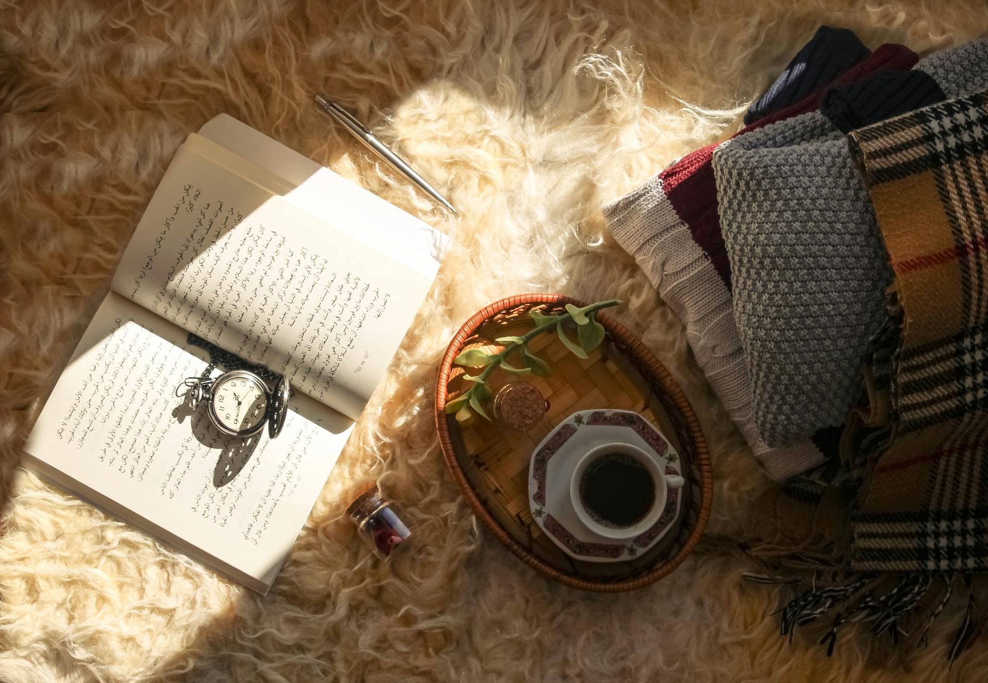 Diary and Coffee on Hairy Carpet