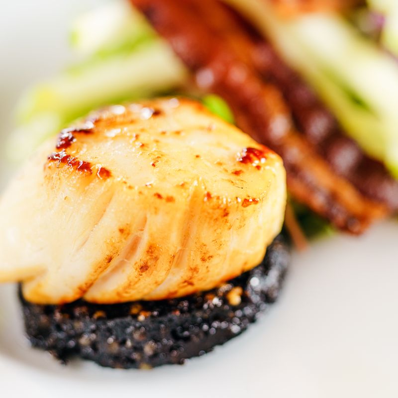 Party Seared Scallop and Crispy Sage Tartine