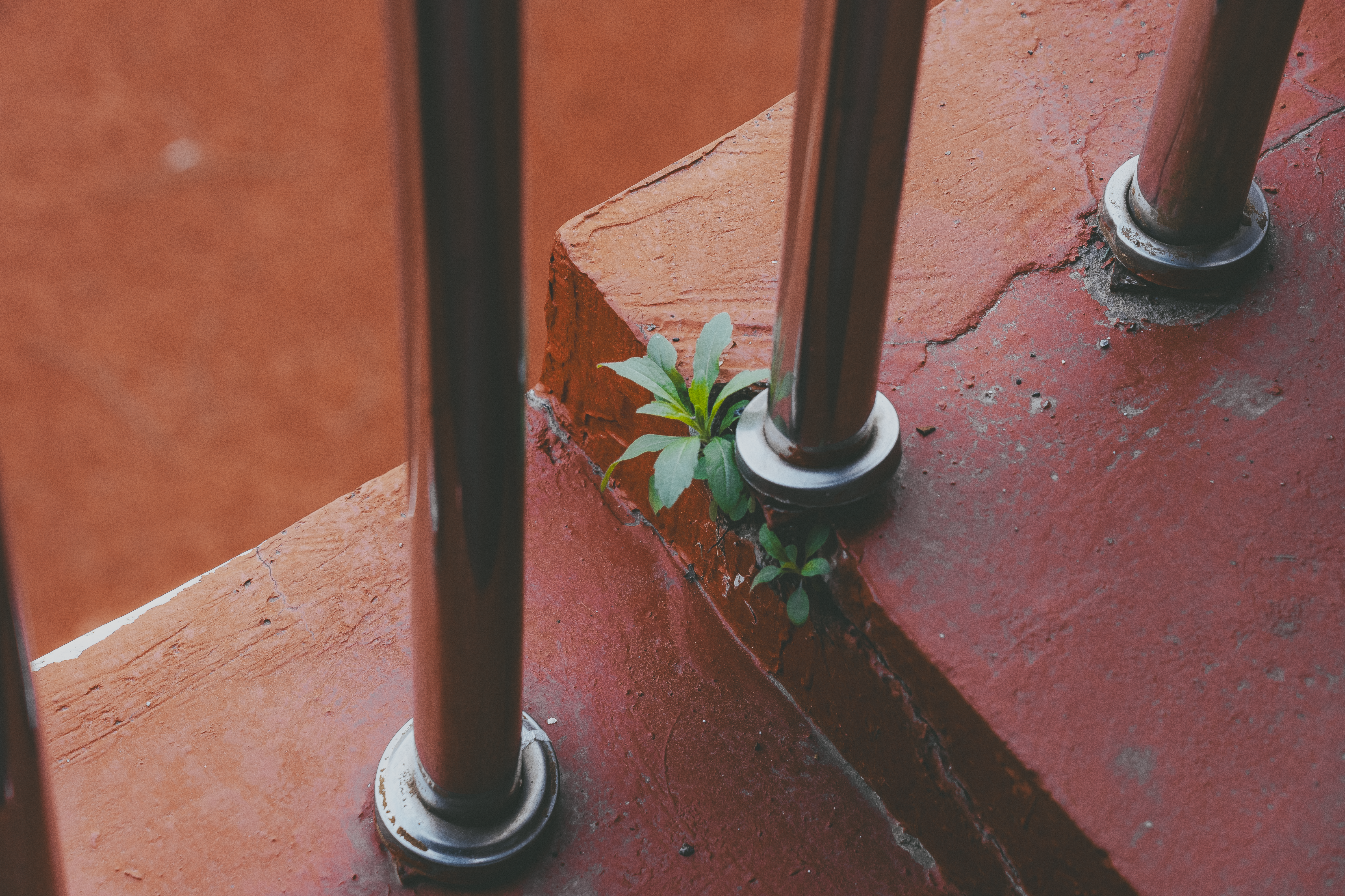 Column: Here’s the Case for Growing Community Through Civic Engagement — Photo by Tinny HU on Pexels