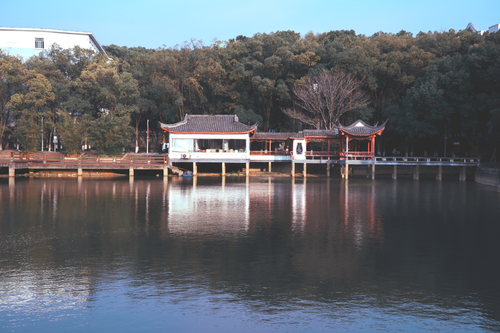 Free Serene lakeside view with a traditional Chinese pavilion surrounded by lush greenery. Stock Photo