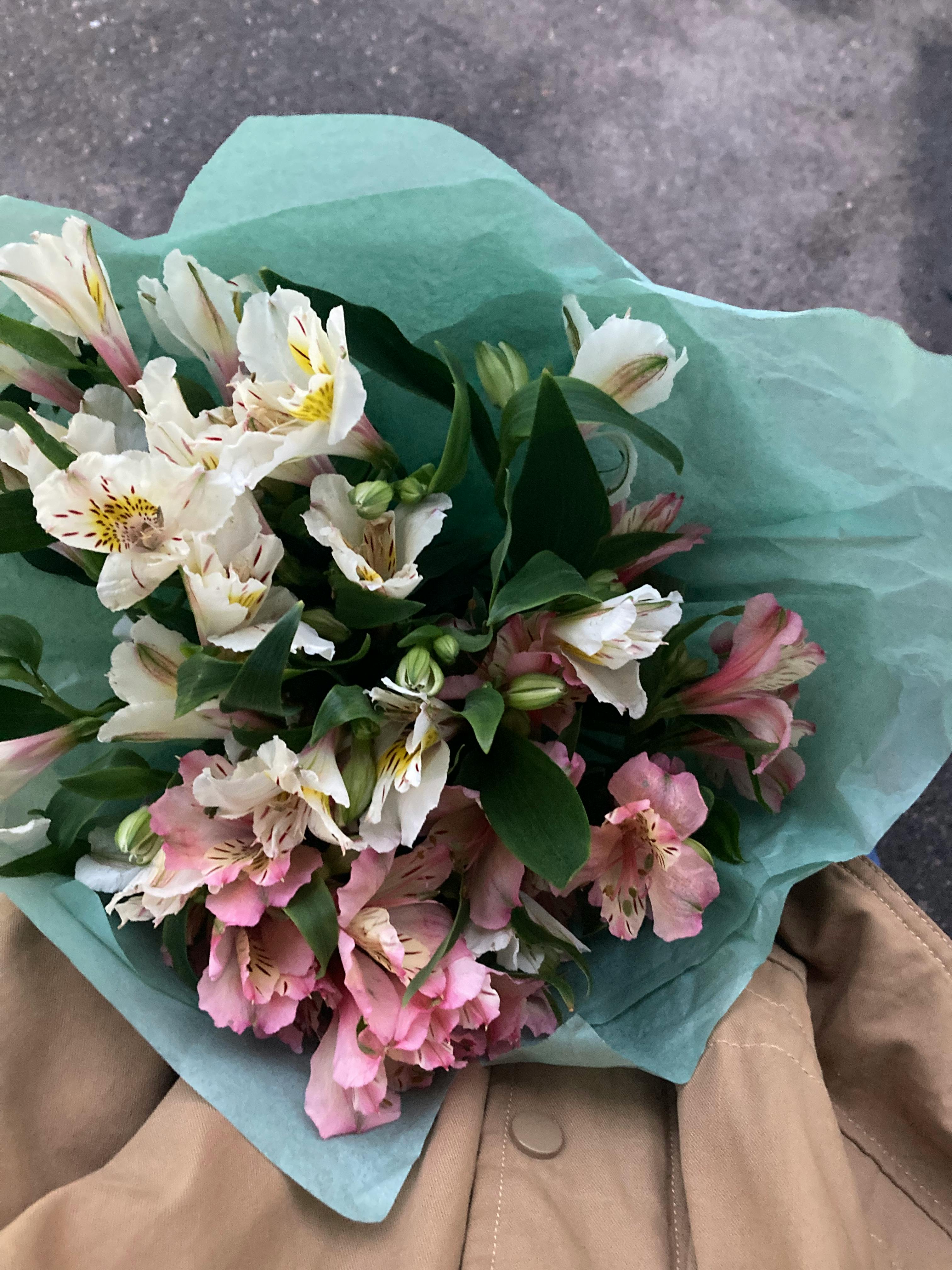 [ColoSach]-vibrant-pink-and-white-alstroemeria-flowers-wrapped-in-teal-paper-on-beige-fabric.