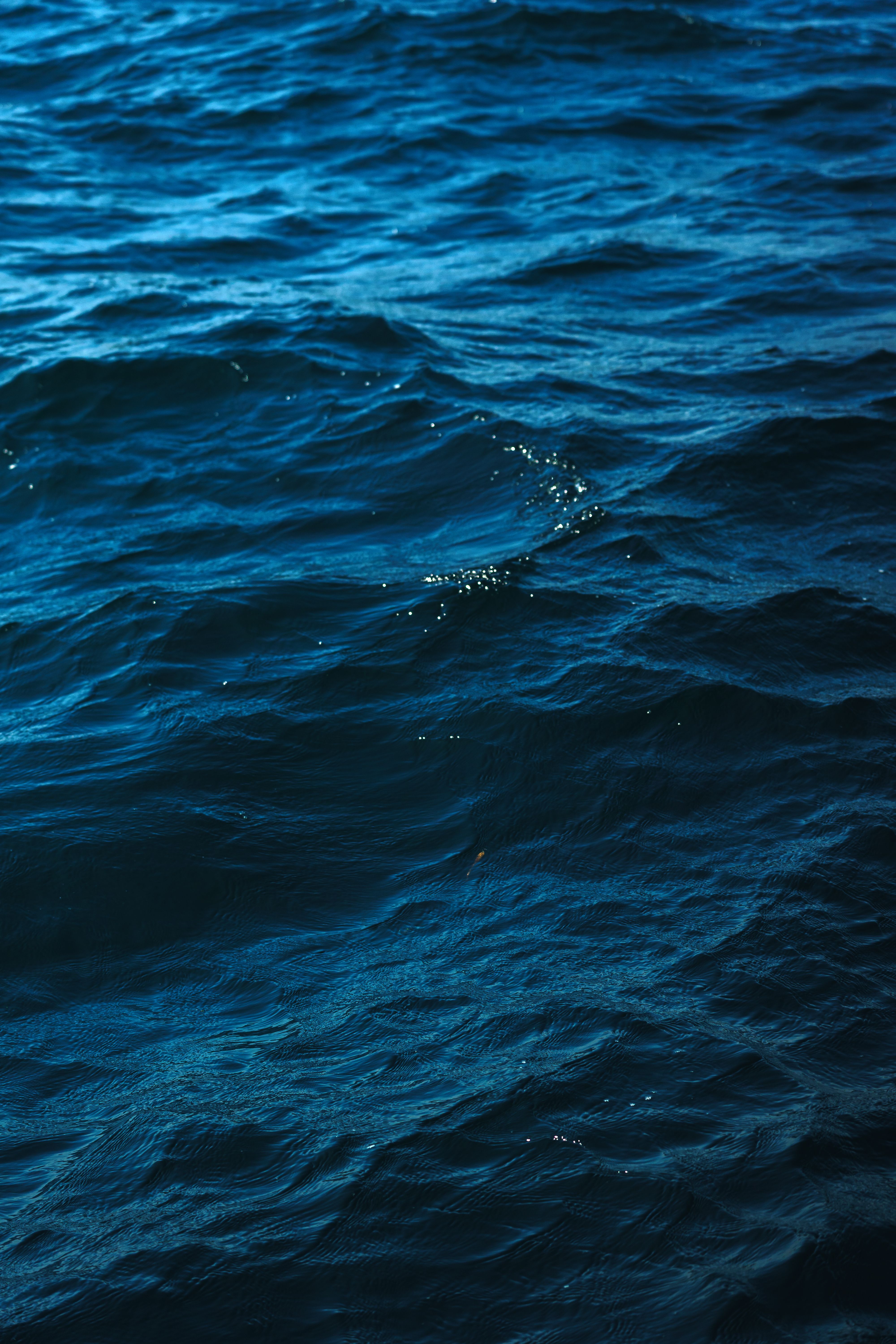 Deep Blue Ocean Waves at Daytime · Free Stock Photo