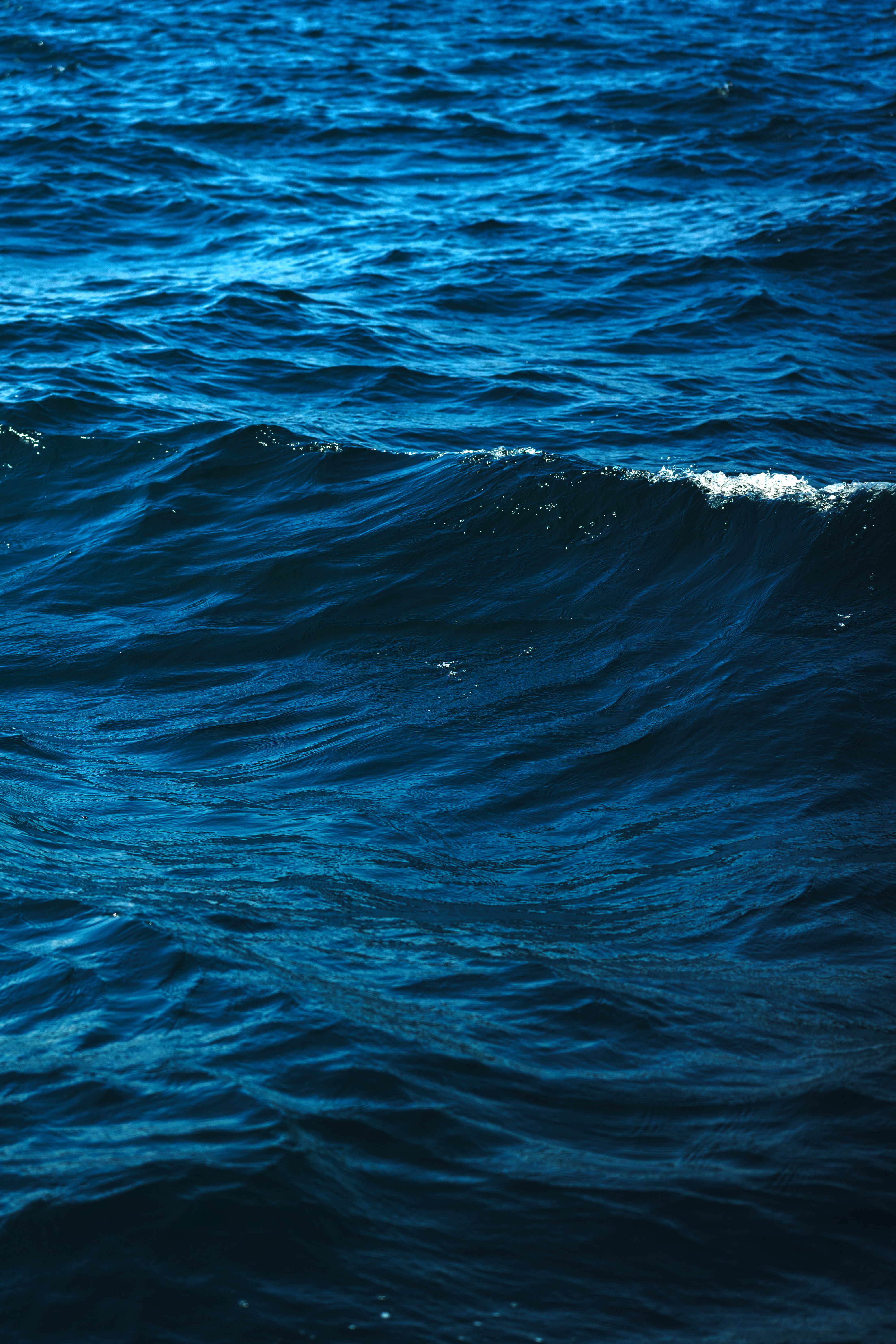 Dynamic Ocean Waves Under Bright Sunlight · Free Stock Photo