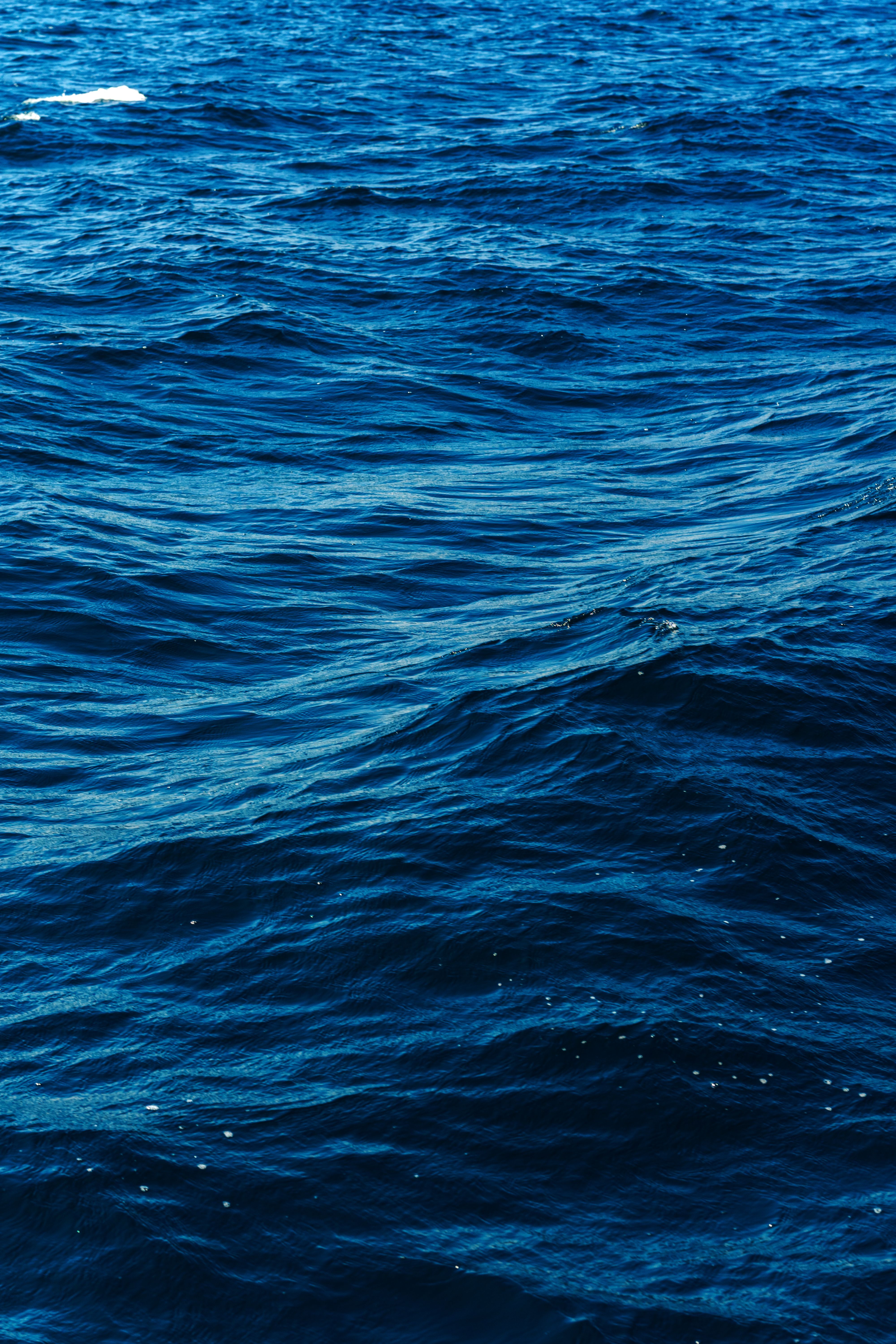 Deep Blue Ocean Waves Captured in Daylight · Free Stock Photo