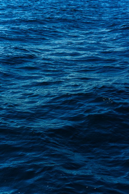 Free Captivating view of deep blue ocean waves under the bright daylight, showcasing natural beauty. Stock Photo