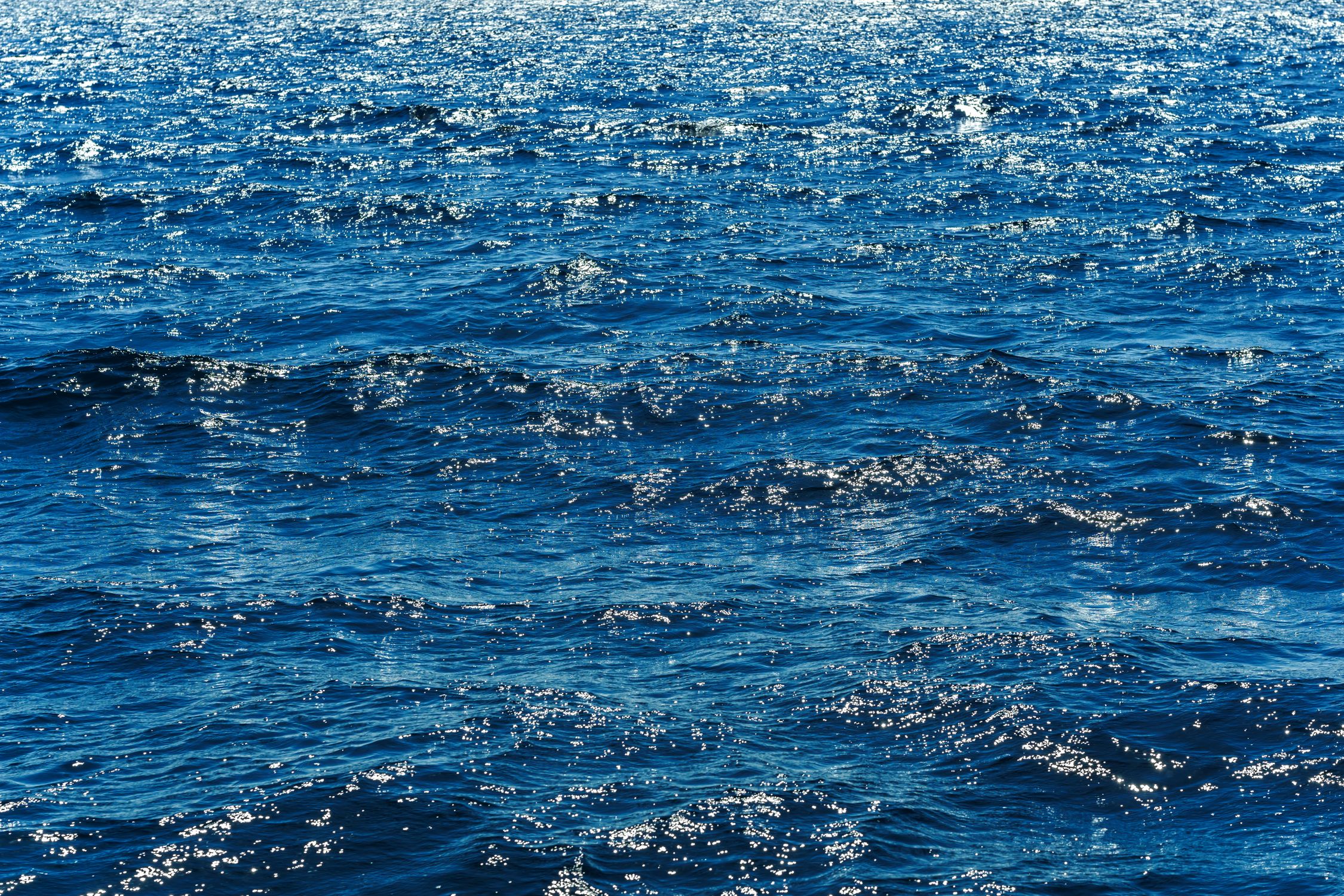Sparkling Ocean Waves Under Sunlight · Free Stock Photo