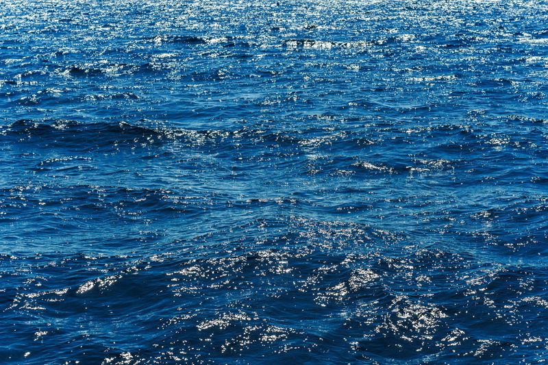 Sparkling Ocean Waves Under Sunlight · Free Stock Photo