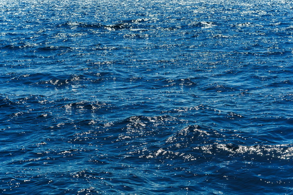 Sparkling Ocean Waves Under Sunlight · Free Stock Photo