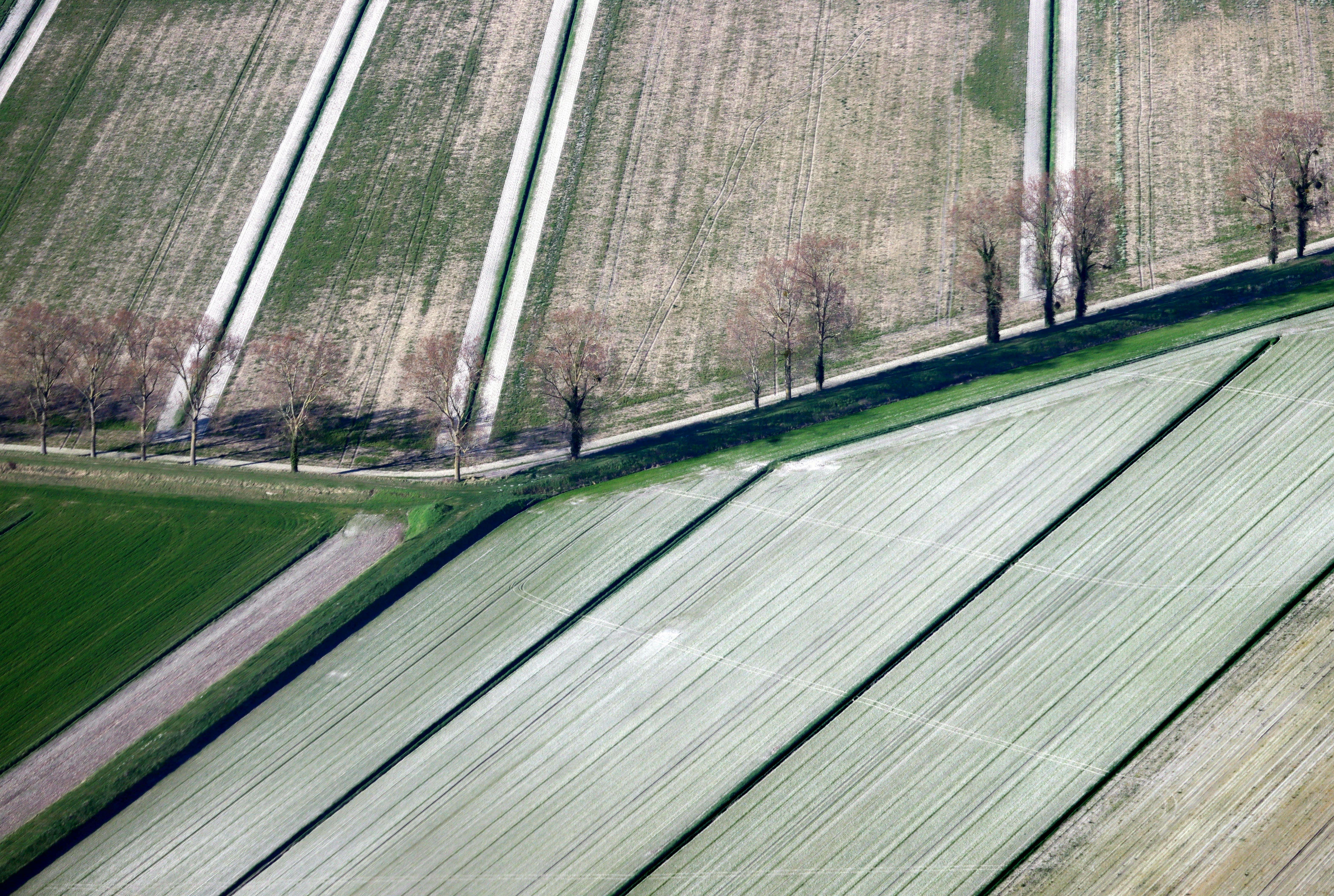 Nowe Turbiny Wiatrowe: Klucz do Redukcji CO2