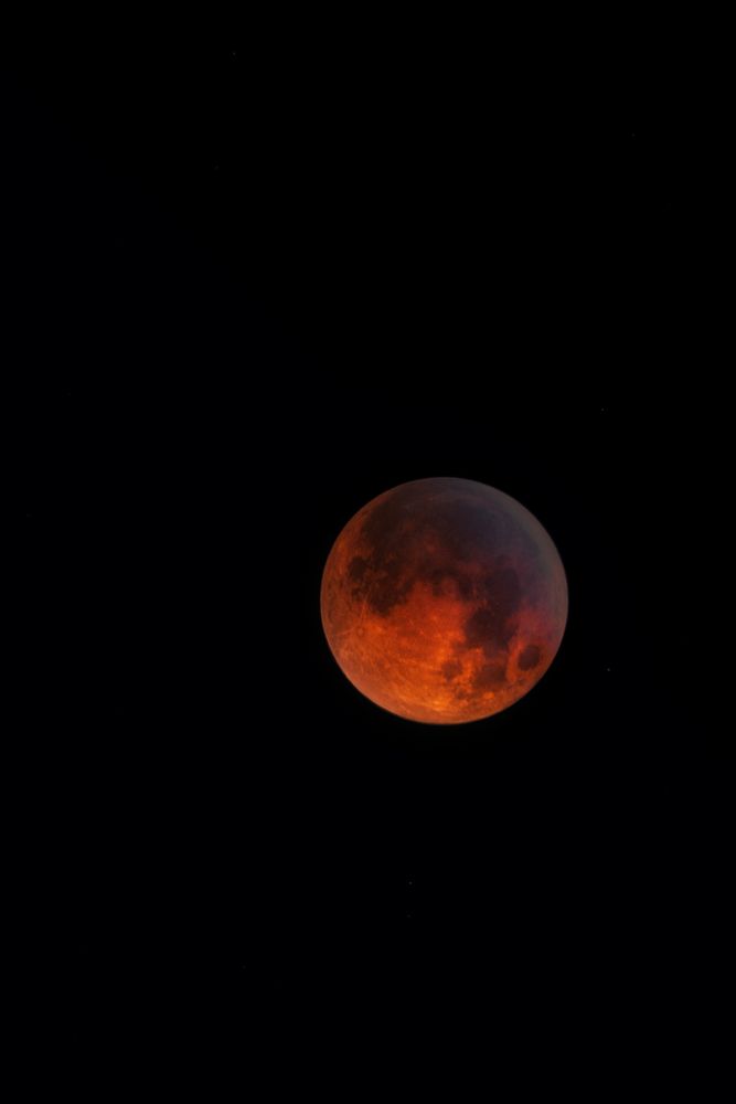 Red Moon Photos, Download The BEST Free Red Moon Stock Photos & HD Images