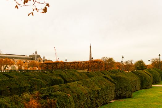 Versailles garden tour before the crowds — Paris