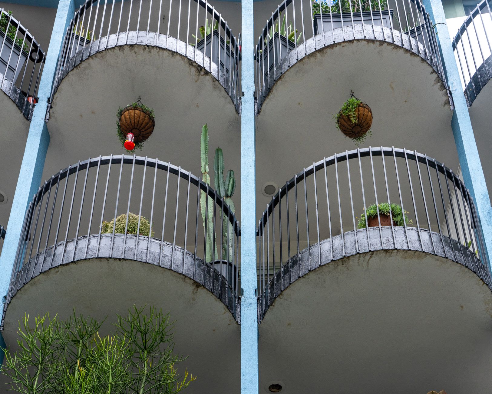 Vertical garden apartment balcony — Dicas da Vovó