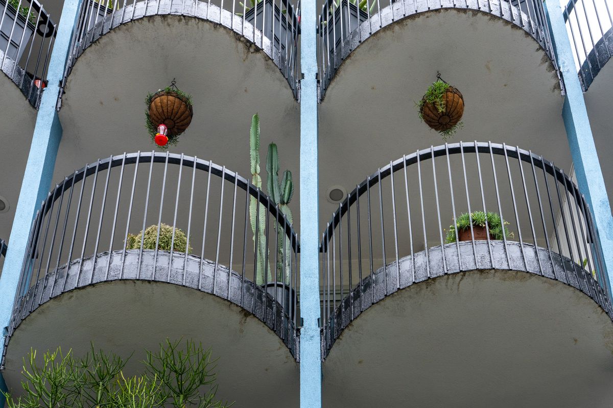 Balcon nord : quelles plantes choisir ? - Les meilleures plantes fleuries pour un balcon nord