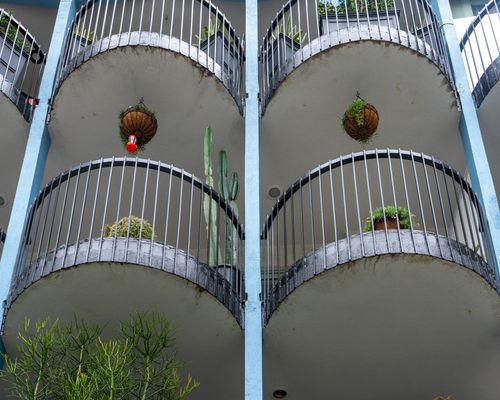 Free Distinctive curved balconies with potted plants and cacti in Los Angeles, showcasing urban greenery. Stock Photo