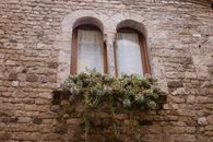 Charming stone wall with arched windows and succulents in Anagni, Lazio.