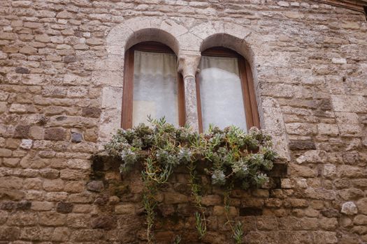 Charming stone wall with arched windows and succulents in Anagni, Lazio.