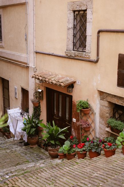 Charming Anagni alleyway adorned with vibrant potted plants and rustic architecture.