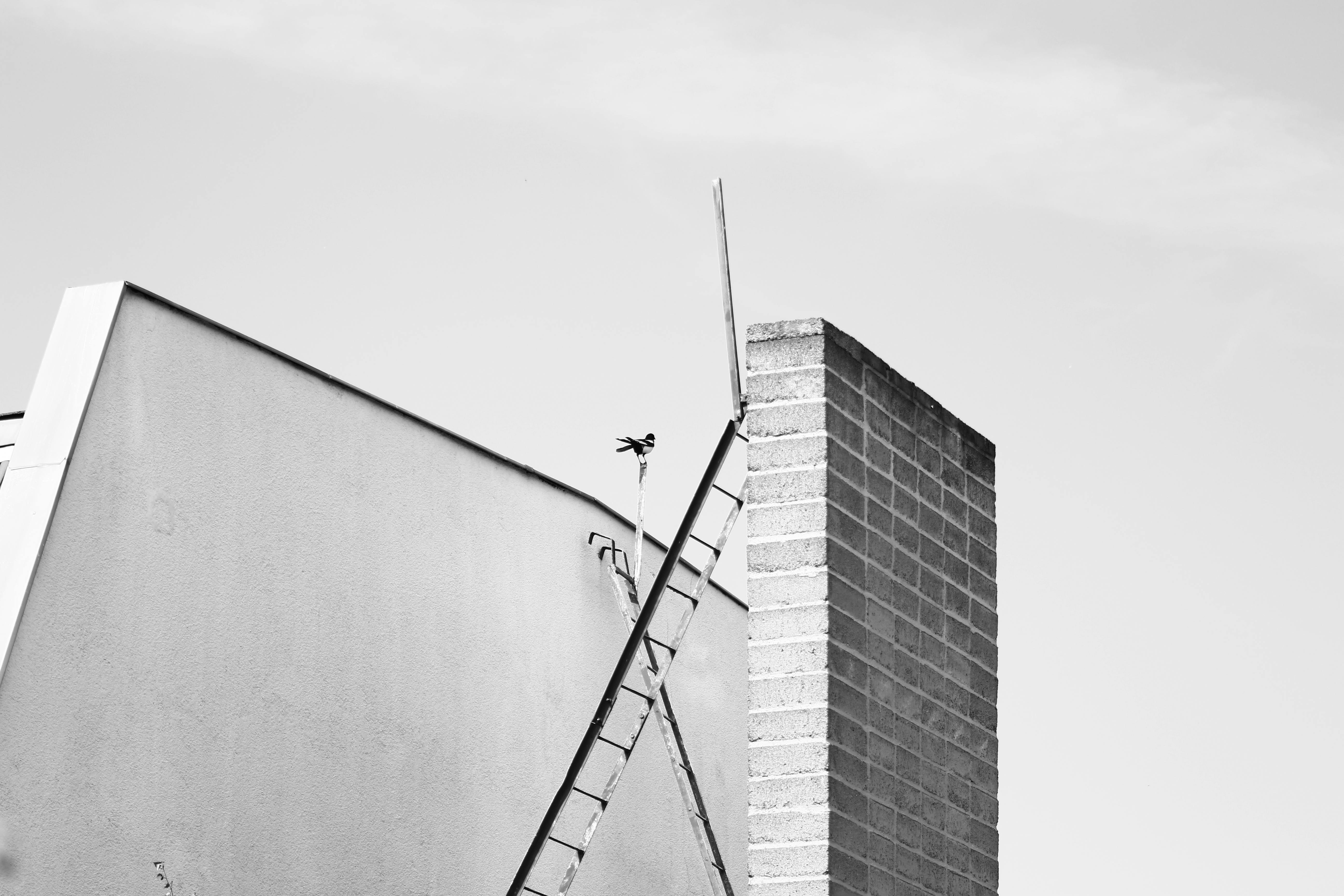 Gratis Foto artistica in bianco e nero della facciata di un edificio con scala e camino in mattoni. Foto a disposizione