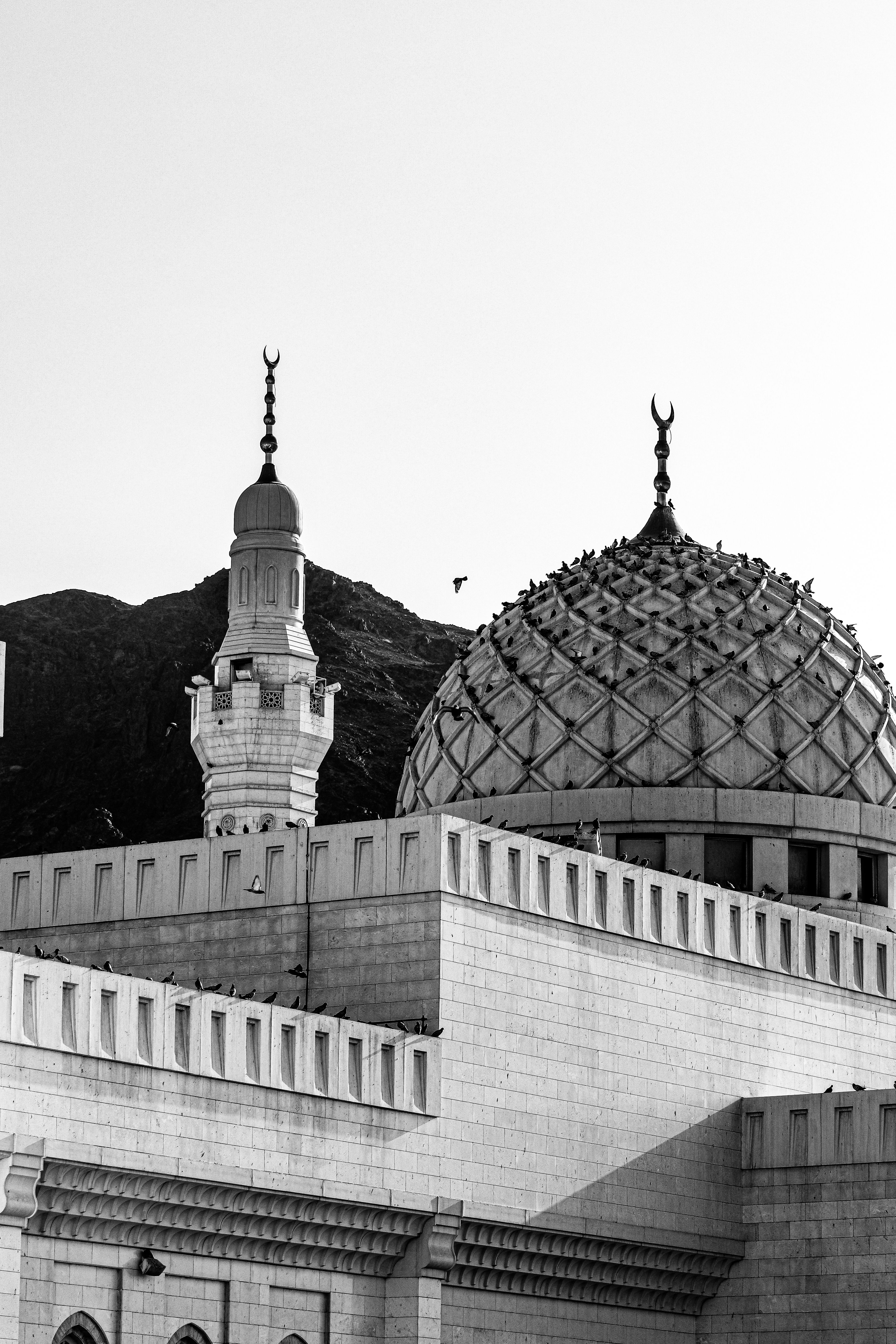 Elegant Black and White Mosque Dome with Minaret · Free Stock Photo