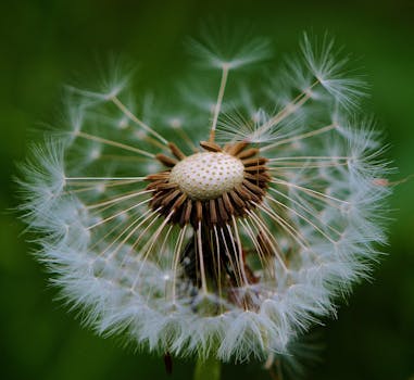 在绿色背景上，精致收件箱的微距摄影展示了其复杂的细节