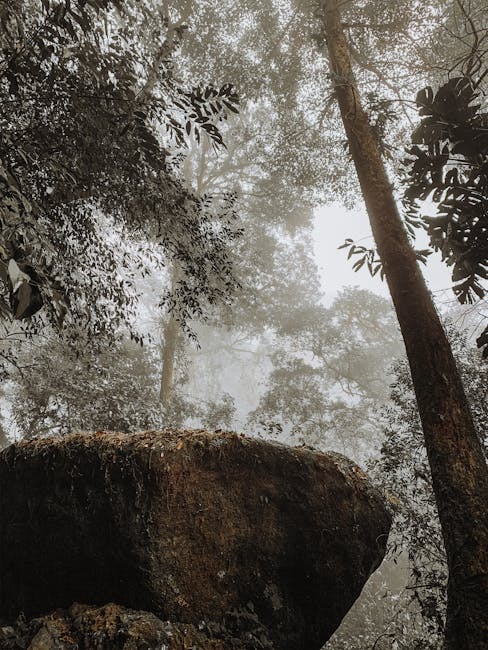 Luis Quinterohttps://api.pexels.com/v1/photos/3645606