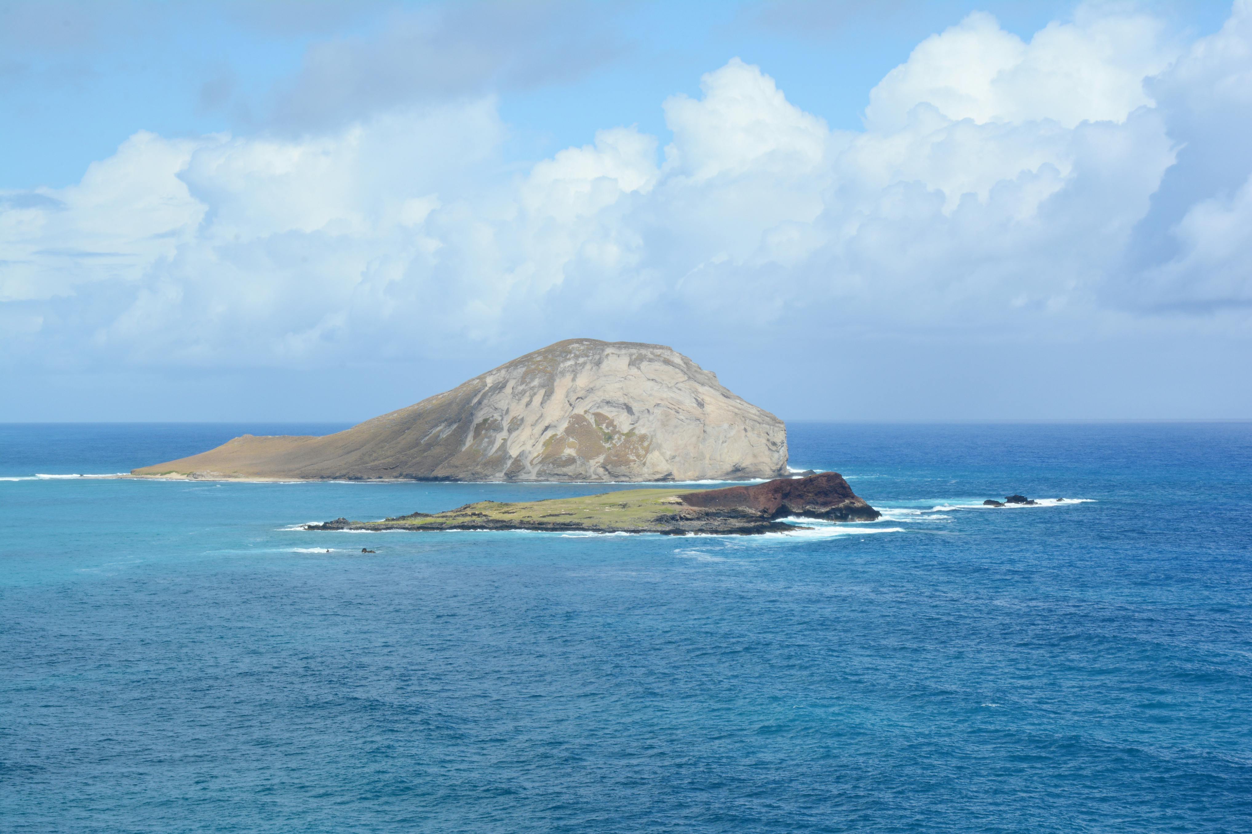 Hawaii Island Seed Bank helps build climate resilience — Photo by Jeff Wiles on Pexels