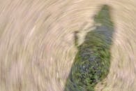 Abstract Spinning Shadow on Grass Surface
