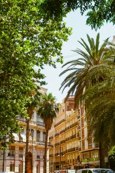 A beautiful urban landscape featuring palm trees and classic European architecture under a bright sky.