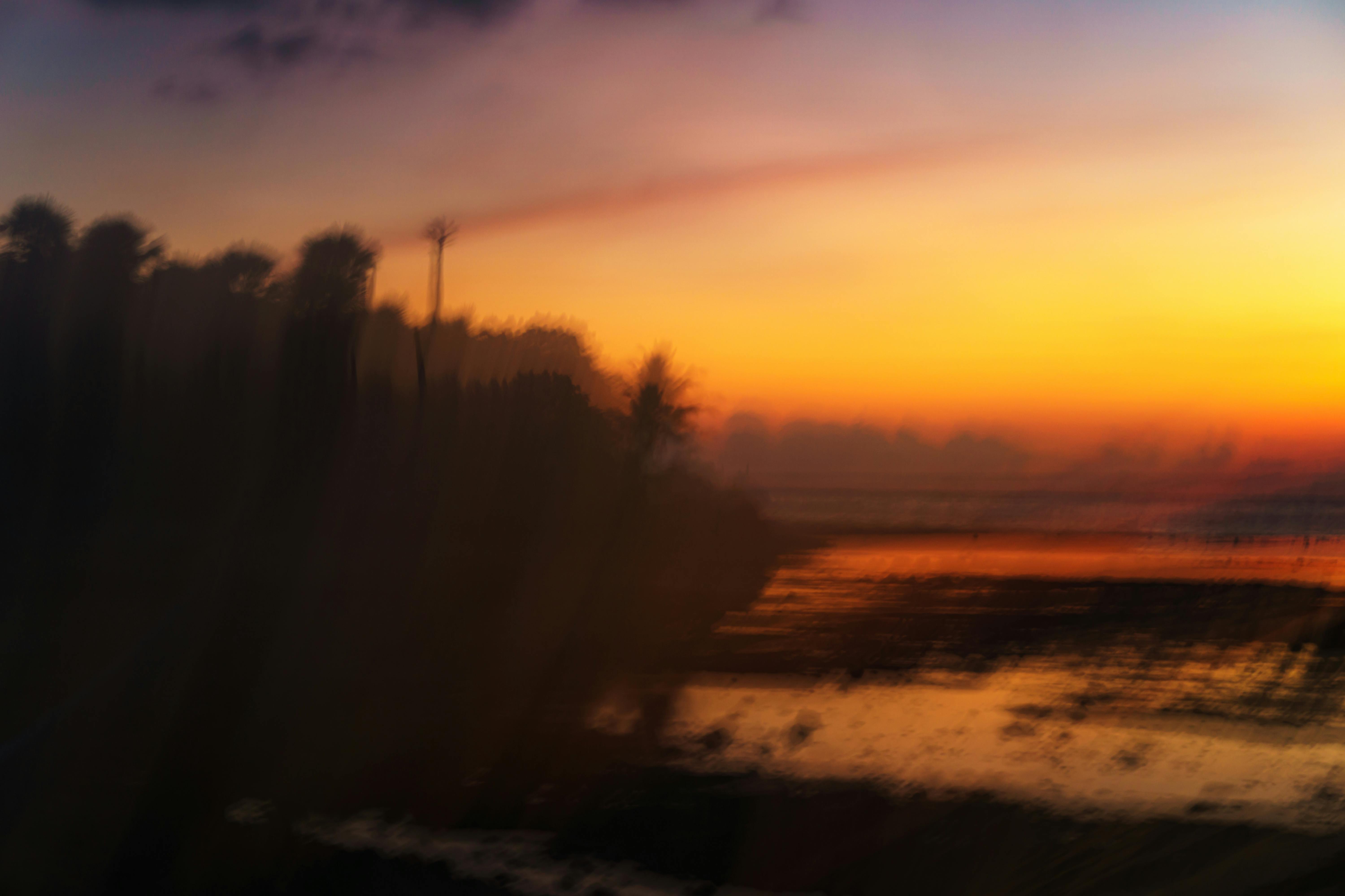 無料 鮮やかな色合いと木々のシルエットが広がる海岸の風景に沈むぼんやりとした夕日。 写真素材