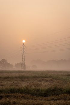 A tranquil scene of a sunrise with power lines in a misty field, evoking calmness.