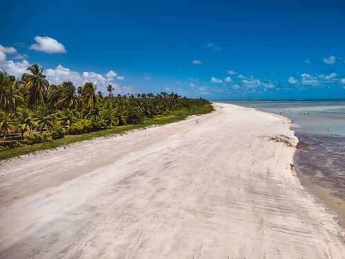 Free Aerial view of a serene tropical beach with palm trees and blue skies. Perfect for vacation and travel themes. Stock Photo