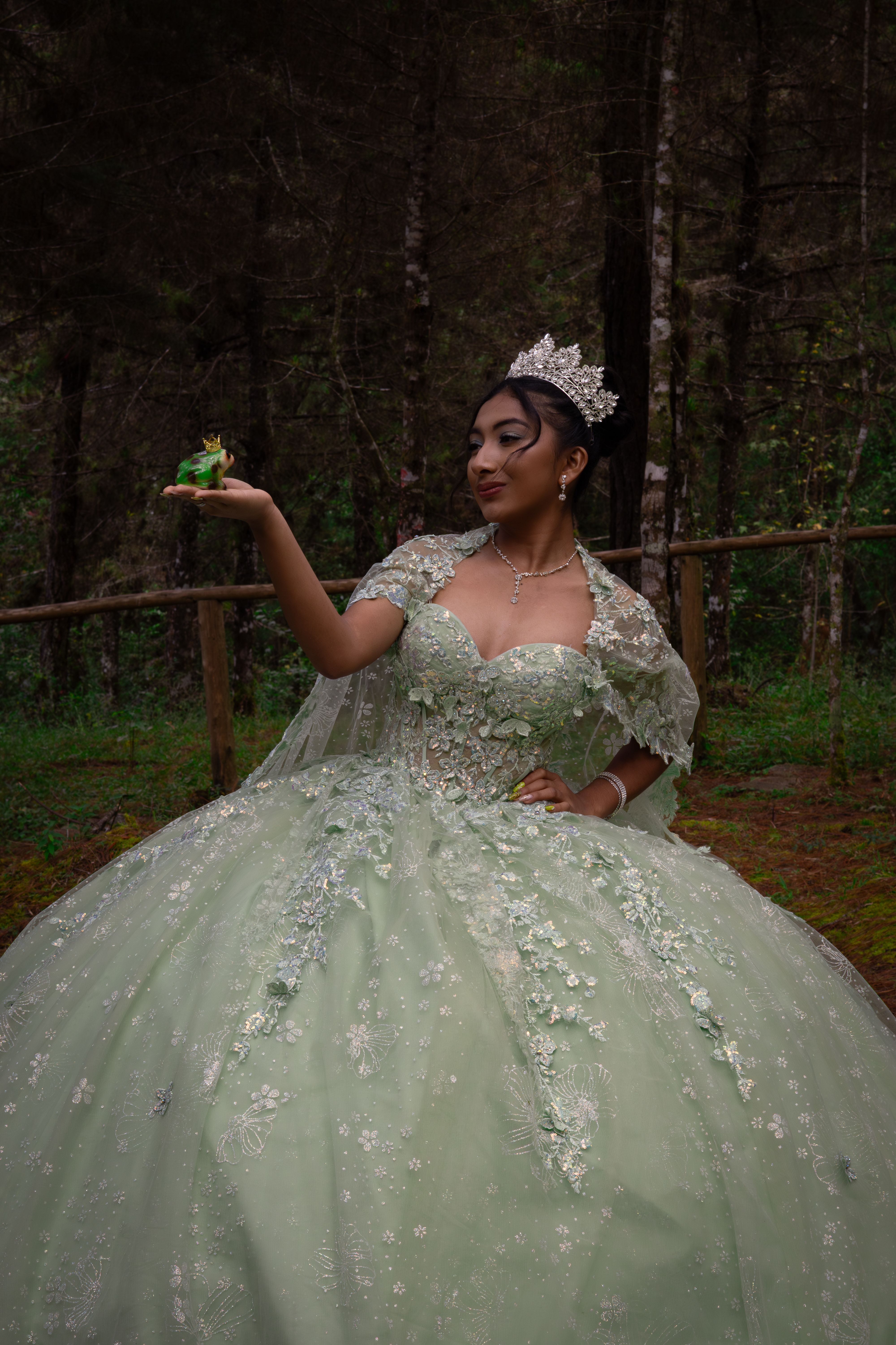 A woman in a green ball gown and tiara holds a toy frog in a mystical forest.