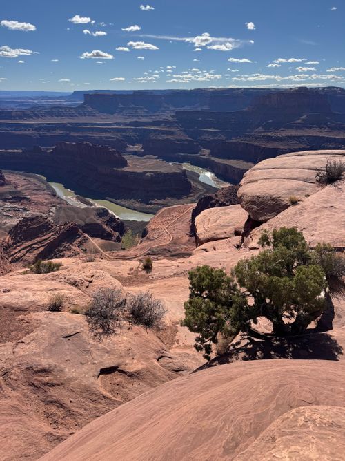 Free Breathtaking aerial view of Dead Horse Point State Park's canyons and winding river. Stock Photo