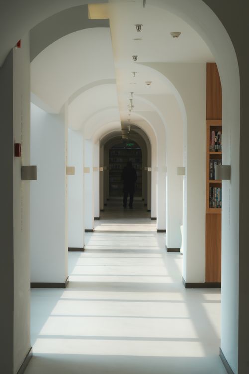 Free A serene, sunlit library corridor with arched ceilings and silhouetted figure. Stock Photo