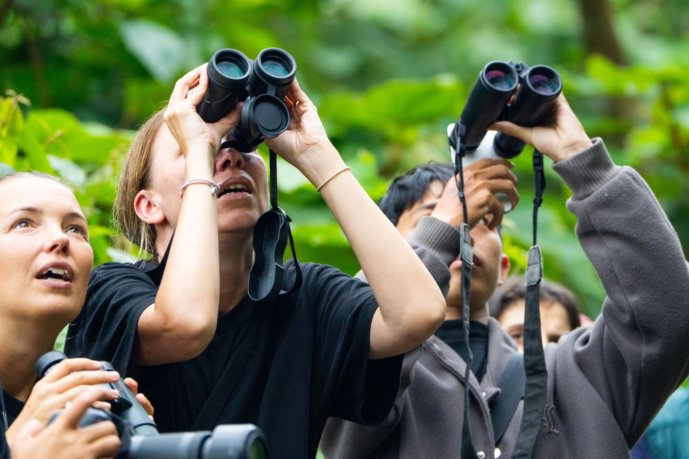 Birdwatchers observing in lush green forest