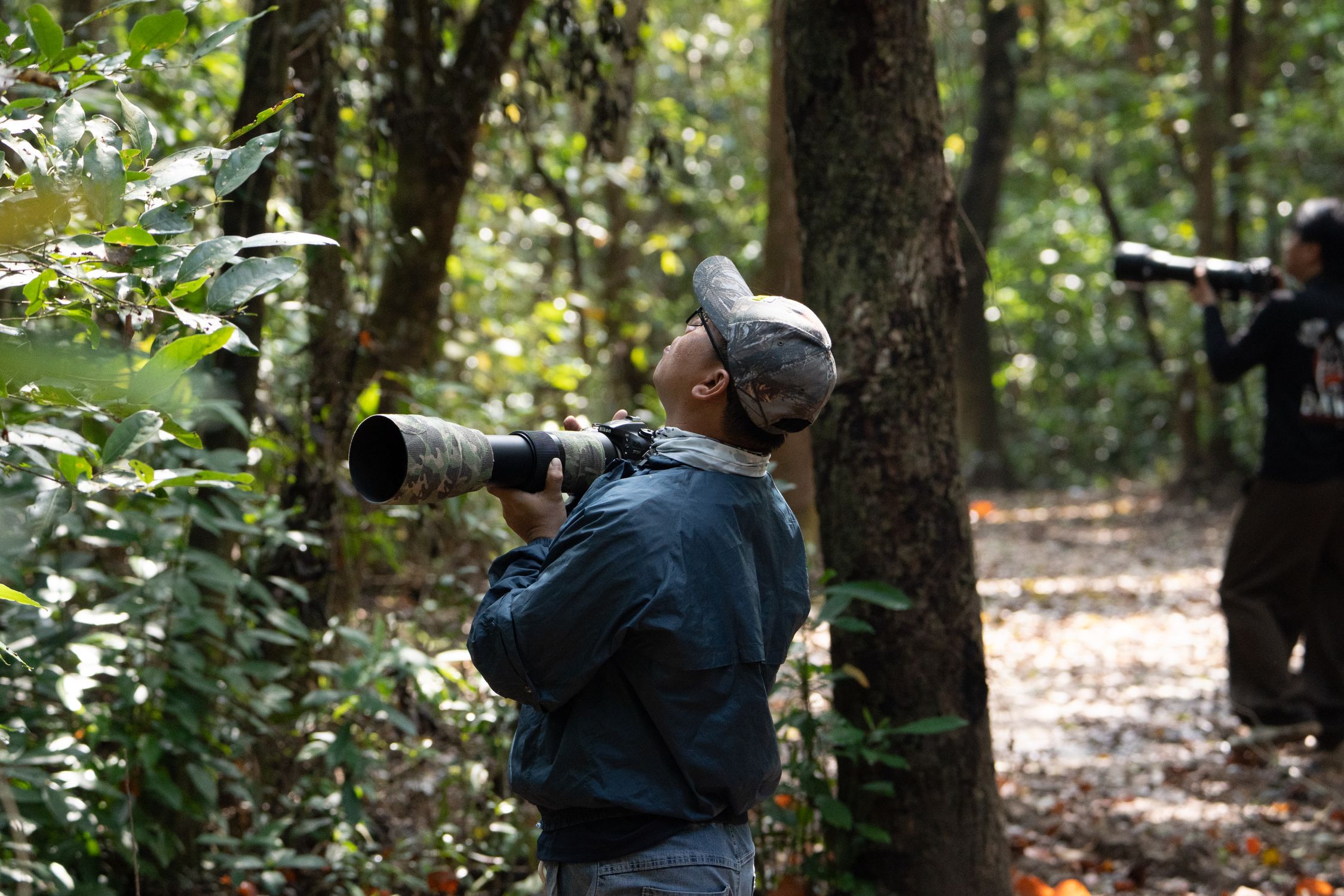 Birdwatchers with cameras in lush forest