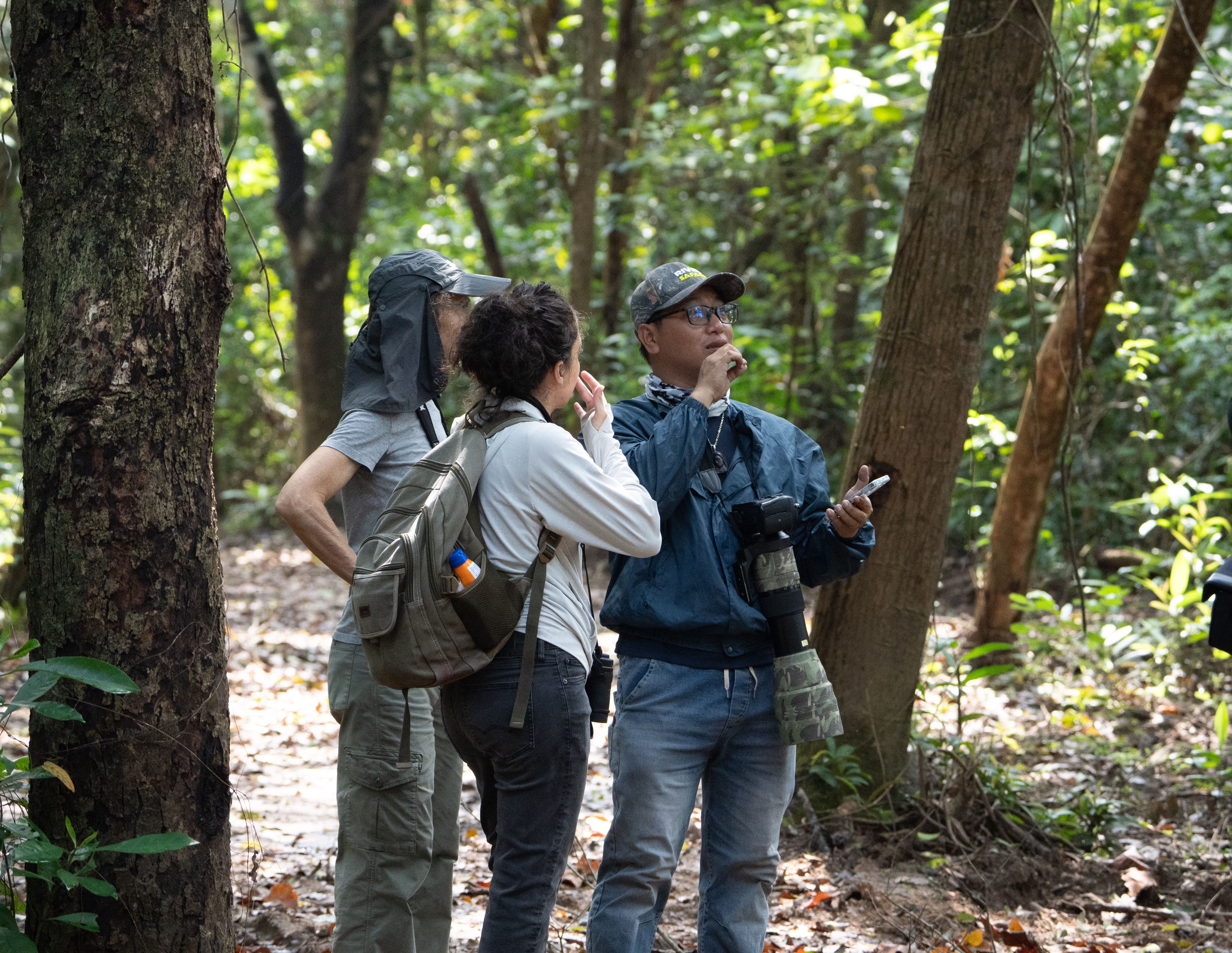 Wildlife observation in forest